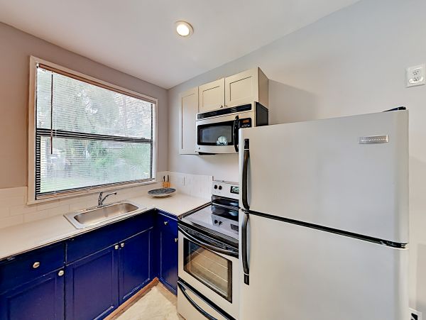 Tampa Home 1010181