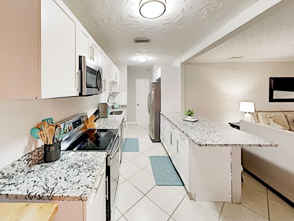 Tampa Home 1010189