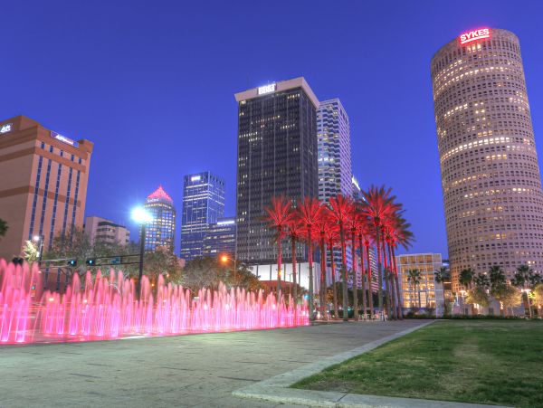 Tampa Home 1010190