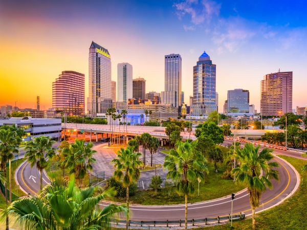Tampa Home 1010194
