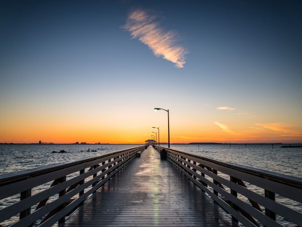Tampa Home 1010194