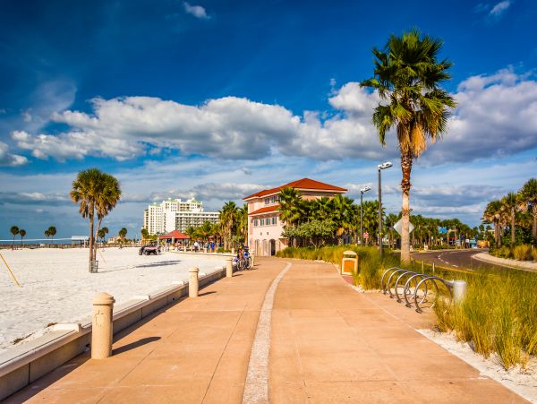 Tampa Home 1010194