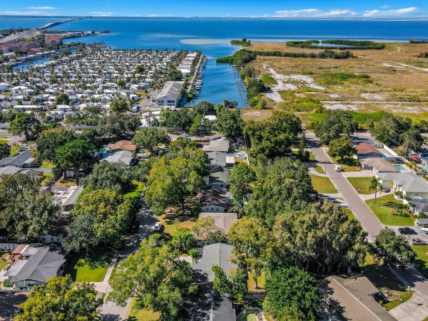 Tampa Home 1010198