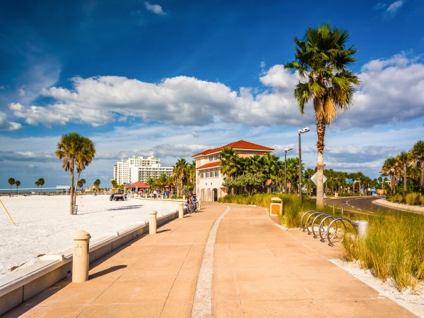 Tampa Home 1010199
