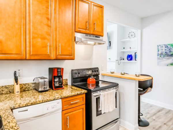 Tampa Home 1010200