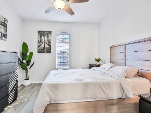 Tampa Home 1010201