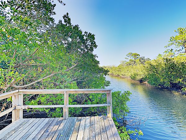 Tampa Home 1010202