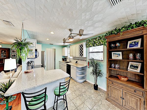 Tampa Home 1010202