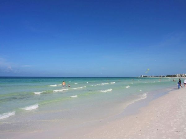 Siesta Key Condo 1010205