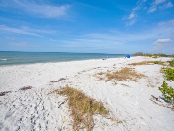 Fort Myers Condo 1010215