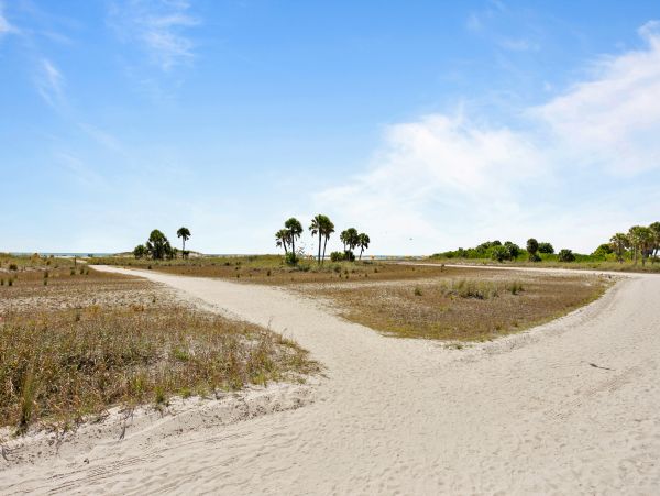 Treasure Island Home 1010284