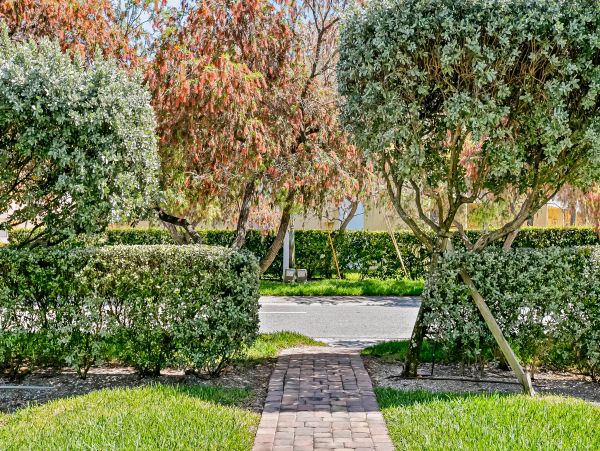 Treasure Island Home 1010287