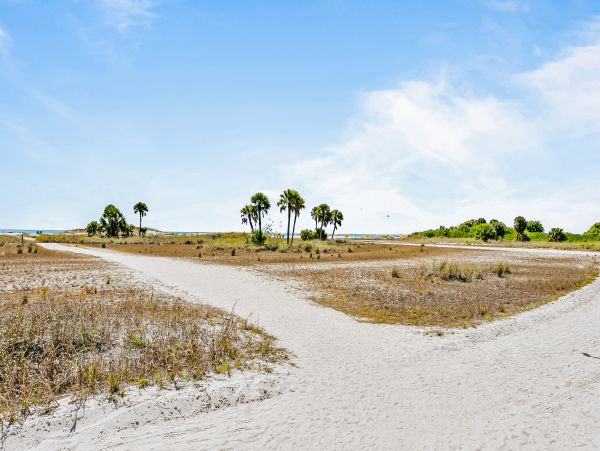 Treasure Island Home 1010287