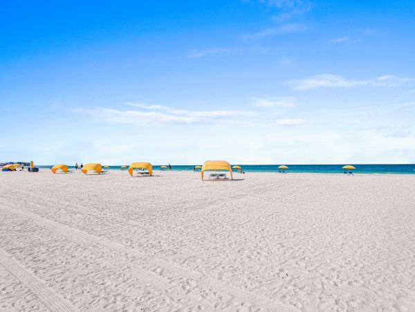 Treasure Island Condo 1010288
