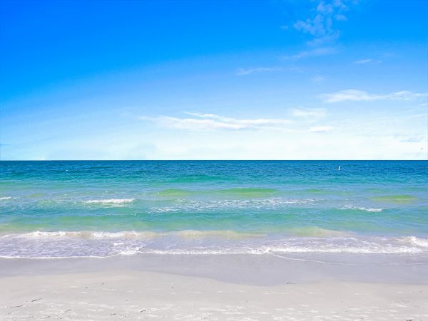 Treasure Island Condo 1010288