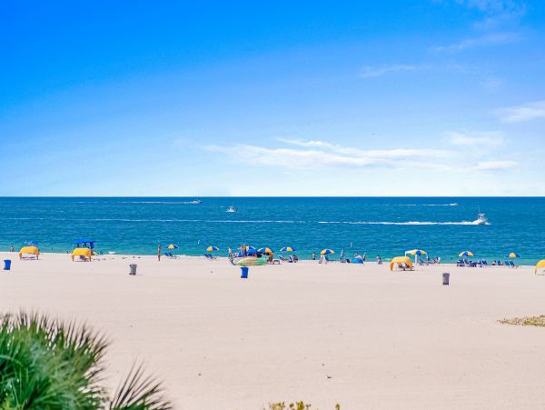 Treasure Island Condo 1010288