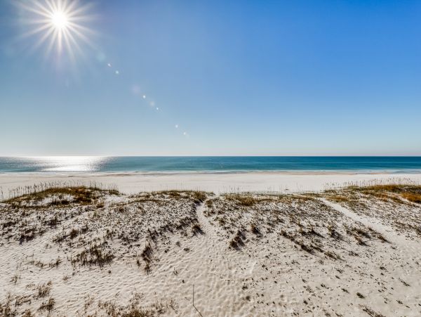 Alabama Beach Areas Home 1010295
