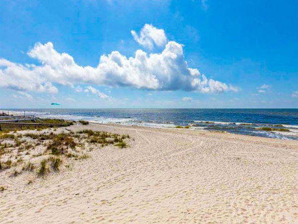 Alabama Beach Areas Home 1010306