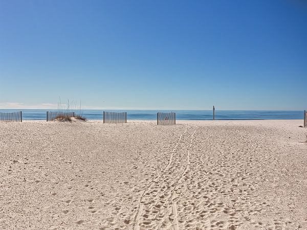 Alabama Beach Areas Home 1010313