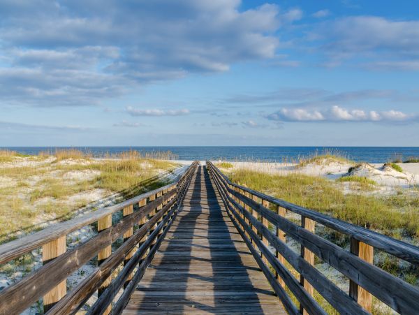 Alabama Beach Areas Home 1010316
