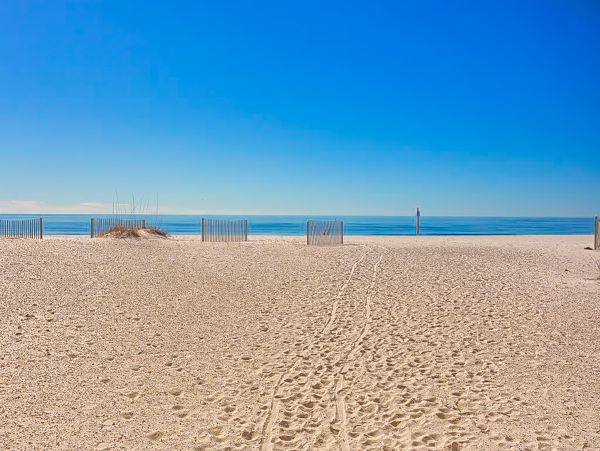 Alabama Beach Areas Home 1010317