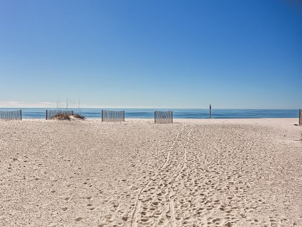 Alabama Beach Areas Home 1010318