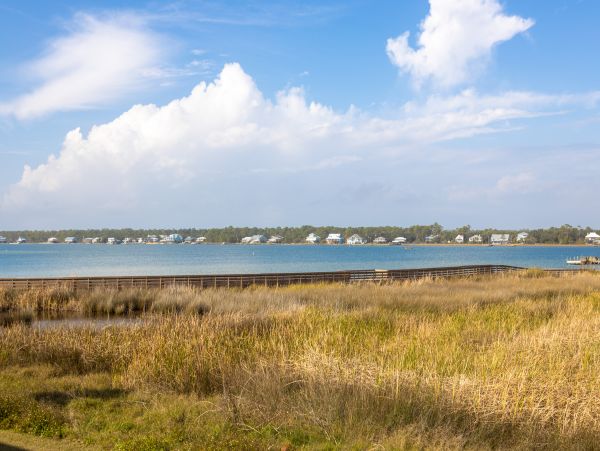 Alabama Beach Areas Home 1010336