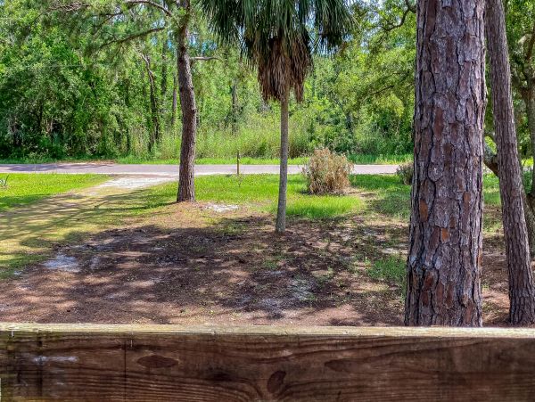 Alabama Beach Areas Home 1010337
