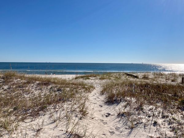 Alabama Beach Areas Home 1010338