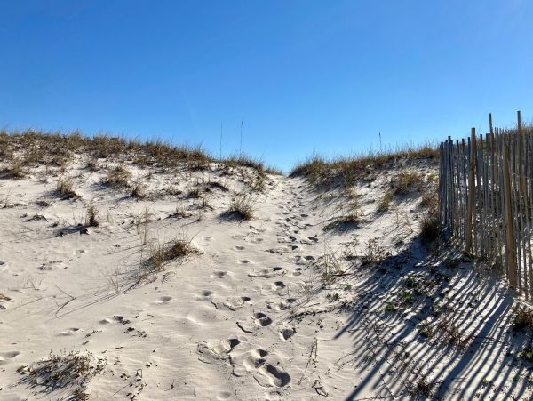 Alabama Beach Areas Home 1010338