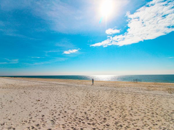 Alabama Beach Areas Home 1010370
