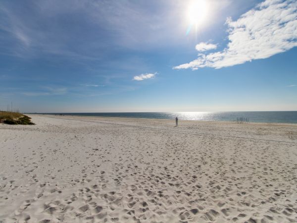 Alabama Beach Areas Home 1010382