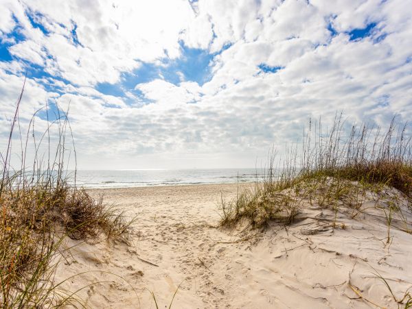 Alabama Beach Areas Home 1010385