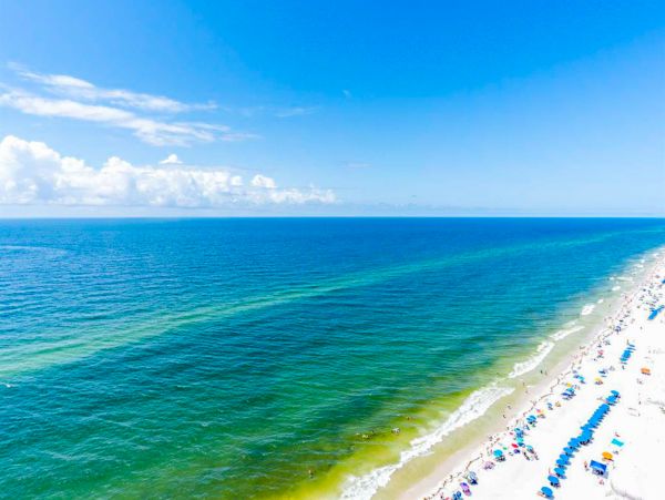 Alabama Beach Areas Home 1010404