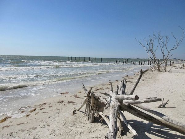 Fort Myers Condo 1010441