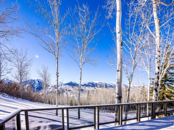 Aspen Home 1010484