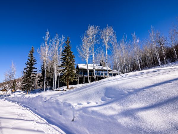 Aspen Home 1010484