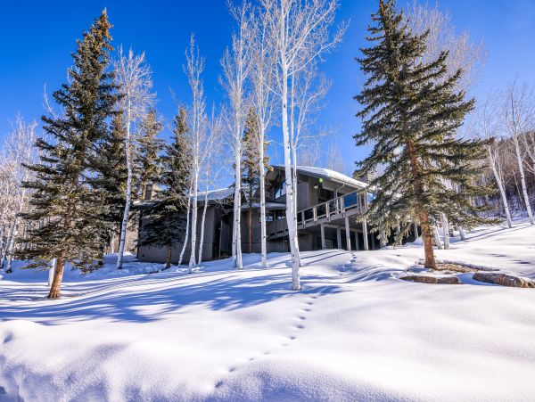 Aspen Home 1010484