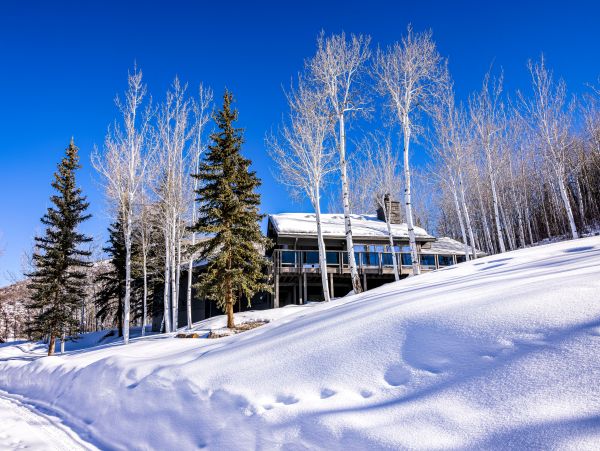 Aspen Home 1010484