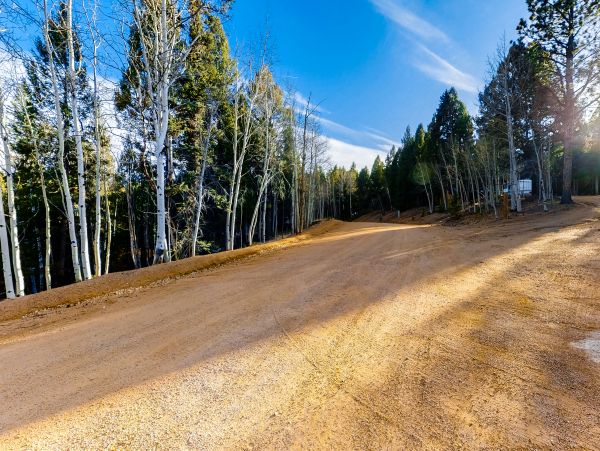 Aspen Home 1010492