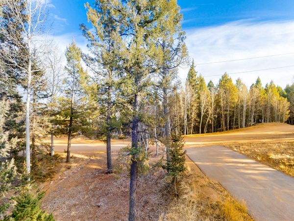 Aspen Home 1010492