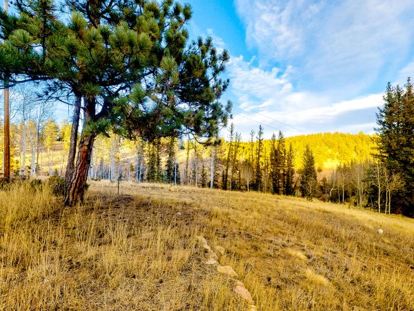 Aspen Home 1010496