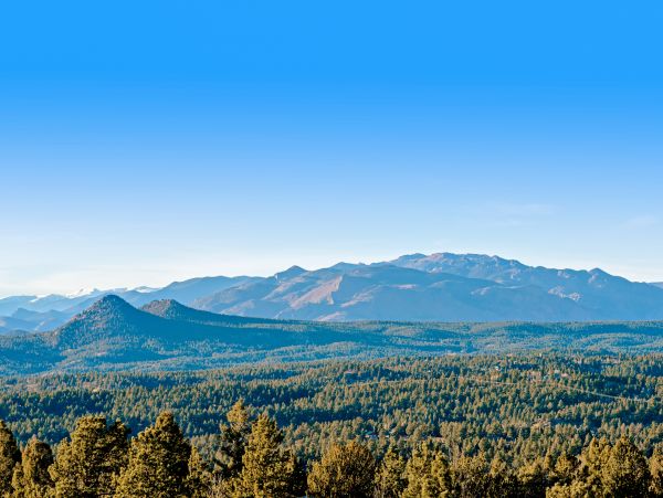 Aspen Home 1010503