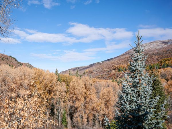 Aspen Home 1010513