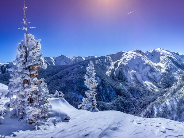 Aspen Home 1010514