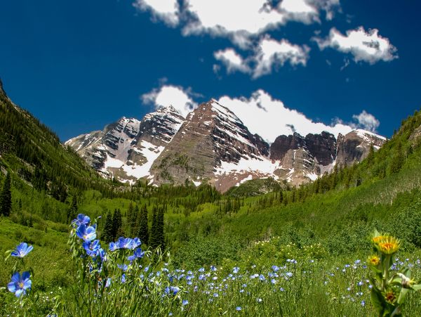 Aspen Home 1010518
