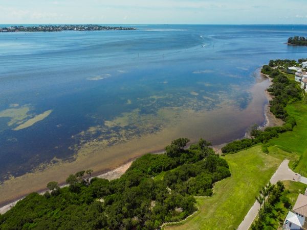Anna Maria Island Holmes Beach Condo 1010568
