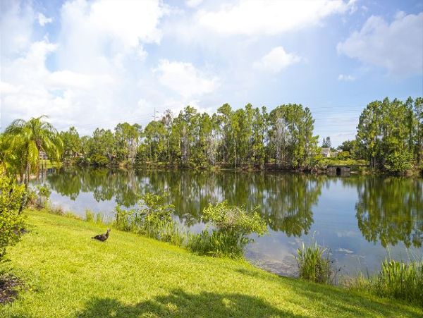 Naples Vacation Rental Home with Pool Luxury Lakeview Getaway
