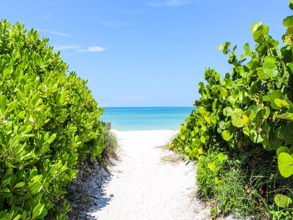 Anna Maria Island Holmes Beach Condo 1010592