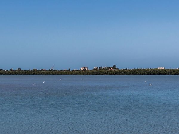 Marco Island Condo 1010668